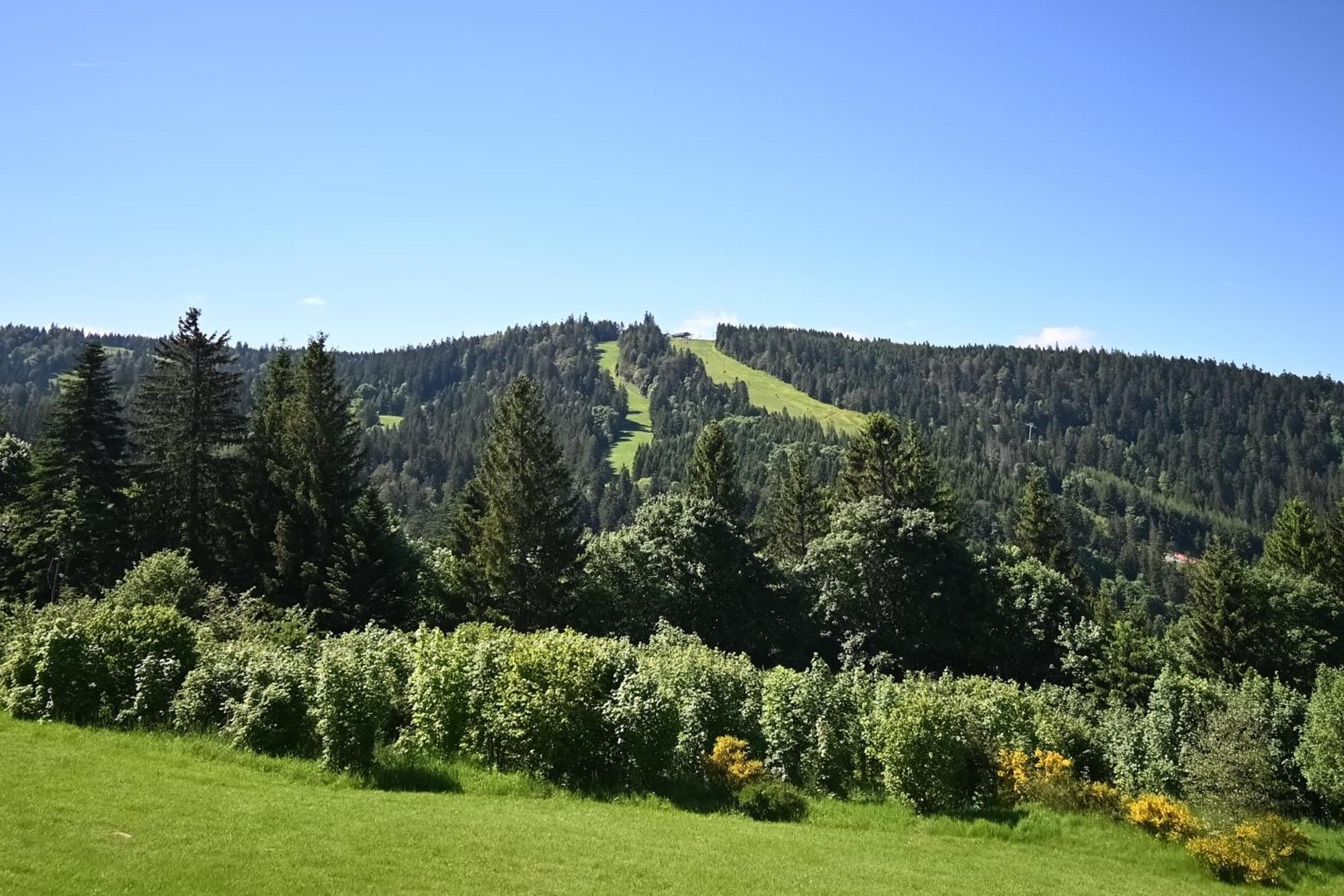 Апартаменты Le Nid Des Vosges - Appt Vue Montagne Жерарме Экстерьер фото